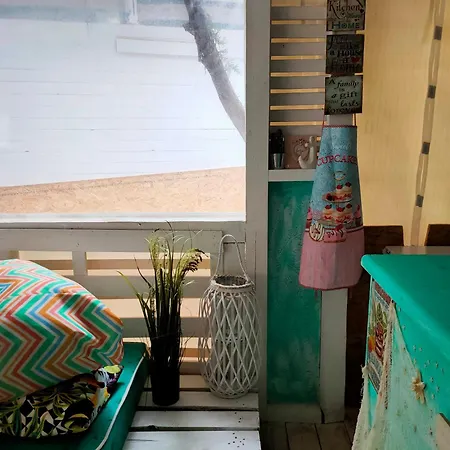 каравана тропик-екзотик а 17 소조폴