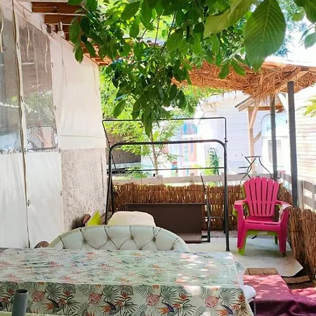 каравана тропик-екзотик а 17