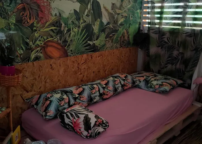 каравана тропик-екзотик а 17